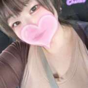 ヒメ日記 2025/07/13 12:59 投稿 さえこ 和歌山ちゃんこ