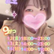 ヒメ日記 2025/09/09 13:34 投稿 さえこ 和歌山ちゃんこ