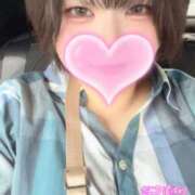 ヒメ日記 2025/09/14 13:57 投稿 さえこ 和歌山ちゃんこ