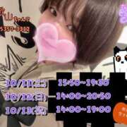 ヒメ日記 2025/10/08 21:45 投稿 さえこ 和歌山ちゃんこ