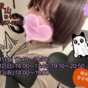 ヒメ日記 2025/10/11 10:36 投稿 さえこ 和歌山ちゃんこ