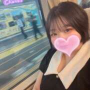 ヒメ日記 2025/10/14 01:46 投稿 さえこ 和歌山ちゃんこ