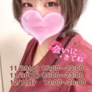 ヒメ日記 2025/11/28 09:50 投稿 さえこ 和歌山ちゃんこ