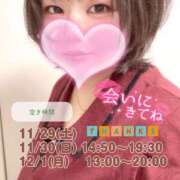 ヒメ日記 2025/11/30 08:53 投稿 さえこ 和歌山ちゃんこ