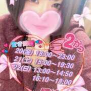 ヒメ日記 2026/02/16 19:52 投稿 さえこ 和歌山ちゃんこ