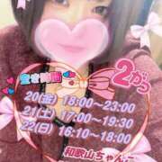 ヒメ日記 2026/02/17 14:21 投稿 さえこ 和歌山ちゃんこ