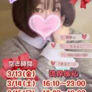 ヒメ日記 2026/03/13 16:21 投稿 さえこ 和歌山ちゃんこ