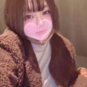 ヒメ日記 2026/03/15 16:12 投稿 さえこ 和歌山ちゃんこ