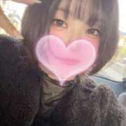 ヒメ日記 2026/04/03 19:32 投稿 さえこ 和歌山ちゃんこ