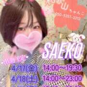 ヒメ日記 2026/04/12 15:38 投稿 さえこ 和歌山ちゃんこ