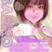 ヒメ日記 2026/05/12 18:00 投稿 さえこ 和歌山ちゃんこ