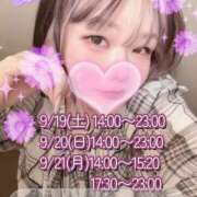 ヒメ日記 2026/09/14 12:42 投稿 さえこ 和歌山ちゃんこ