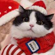 ヒメ日記 2024/12/18 12:46 投稿 桜もも花 五十路マダム 仙台店