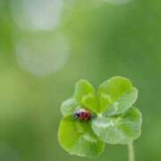 ヒメ日記 2025/02/12 12:18 投稿 桜もも花 五十路マダム 仙台店