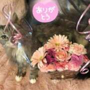 ヒメ日記 2025/02/21 23:28 投稿 桜もも花 五十路マダム 仙台店