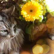 ヒメ日記 2025/02/22 00:00 投稿 桜もも花 五十路マダム 仙台店