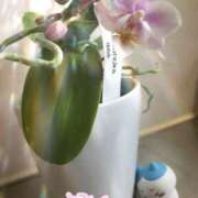 ヒメ日記 2025/02/22 12:08 投稿 桜もも花 五十路マダム 仙台店