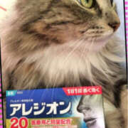 ヒメ日記 2025/03/24 11:02 投稿 桜もも花 五十路マダム 仙台店