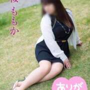 ヒメ日記 2025/03/24 11:24 投稿 桜もも花 五十路マダム 仙台店