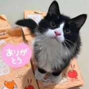 ヒメ日記 2025/04/01 11:58 投稿 桜もも花 五十路マダム 仙台店