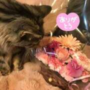 ヒメ日記 2025/04/23 10:44 投稿 桜もも花 五十路マダム 仙台店