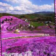 ヒメ日記 2025/04/29 15:30 投稿 桜もも花 五十路マダム 仙台店