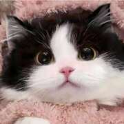 ヒメ日記 2025/05/05 12:00 投稿 桜もも花 五十路マダム 仙台店