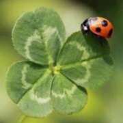 ヒメ日記 2025/05/26 12:00 投稿 桜もも花 五十路マダム 仙台店