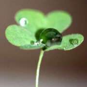 ヒメ日記 2025/05/31 12:02 投稿 桜もも花 五十路マダム 仙台店