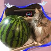 ヒメ日記 2025/06/08 11:54 投稿 桜もも花 五十路マダム 仙台店