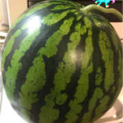 ヒメ日記 2025/06/28 17:52 投稿 桜もも花 五十路マダム 仙台店