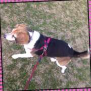 ヒメ日記 2025/06/29 12:02 投稿 桜もも花 五十路マダム 仙台店