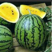 ヒメ日記 2025/07/17 12:22 投稿 桜もも花 五十路マダム 仙台店