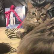 ヒメ日記 2025/07/25 10:52 投稿 桜もも花 五十路マダム 仙台店