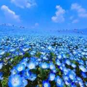 ヒメ日記 2025/08/17 12:40 投稿 桜もも花 五十路マダム 仙台店