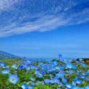 ヒメ日記 2025/08/22 18:34 投稿 桜もも花 五十路マダム 仙台店