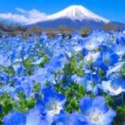 ヒメ日記 2025/08/24 11:48 投稿 桜もも花 五十路マダム 仙台店