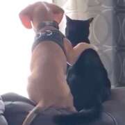 ヒメ日記 2025/09/03 07:08 投稿 桜もも花 五十路マダム 仙台店