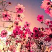 ヒメ日記 2025/09/19 16:30 投稿 桜もも花 五十路マダム 仙台店