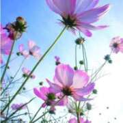 ヒメ日記 2025/09/23 12:12 投稿 桜もも花 五十路マダム 仙台店