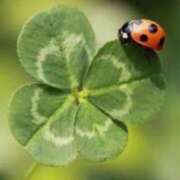 ヒメ日記 2025/09/28 12:42 投稿 桜もも花 五十路マダム 仙台店