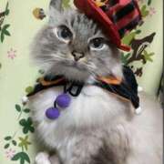 ヒメ日記 2025/11/01 12:00 投稿 桜もも花 五十路マダム 仙台店