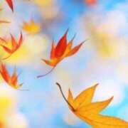 ヒメ日記 2025/11/05 12:04 投稿 桜もも花 五十路マダム 仙台店