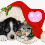 ヒメ日記 2025/12/23 13:58 投稿 桜もも花 五十路マダム 仙台店