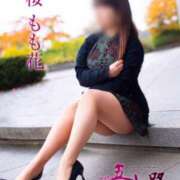 ヒメ日記 2026/03/18 12:16 投稿 桜もも花 五十路マダム 仙台店