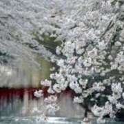 ヒメ日記 2026/04/04 12:10 投稿 桜もも花 五十路マダム 仙台店