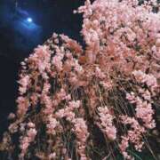 ヒメ日記 2026/04/16 17:38 投稿 桜もも花 五十路マダム 仙台店