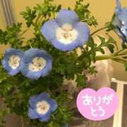 ヒメ日記 2026/04/25 12:28 投稿 桜もも花 五十路マダム 仙台店
