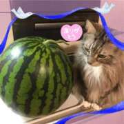 ヒメ日記 2026/06/21 12:40 投稿 桜もも花 五十路マダム 仙台店