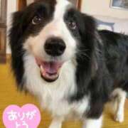 ヒメ日記 2026/08/04 12:16 投稿 桜もも花 五十路マダム 仙台店